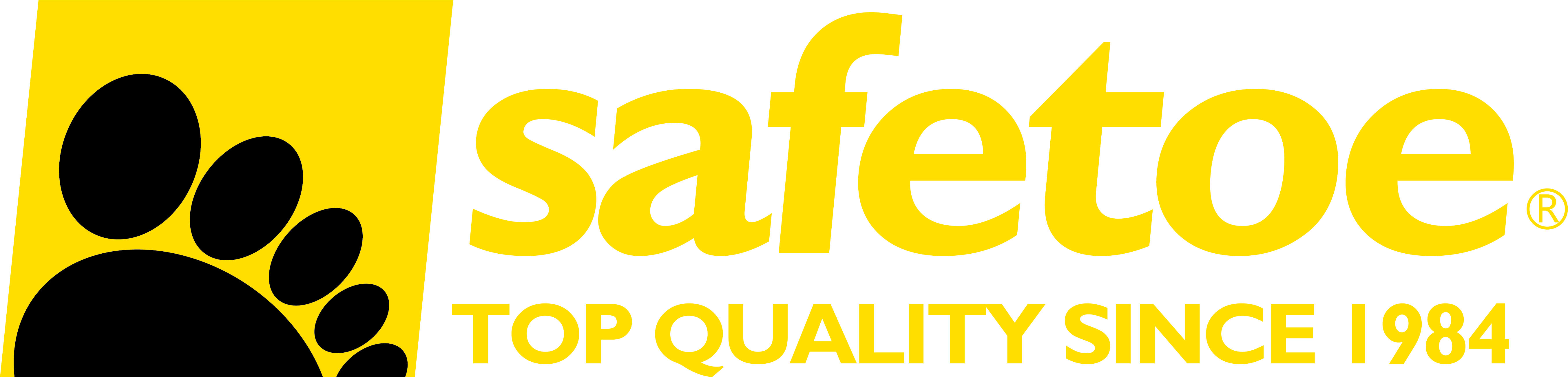 logo Safetoe