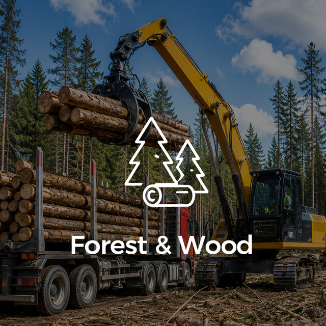 Forêt